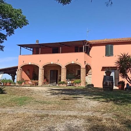 Agriturismo Marruchetone Vecchio 만시아노 외부 사진