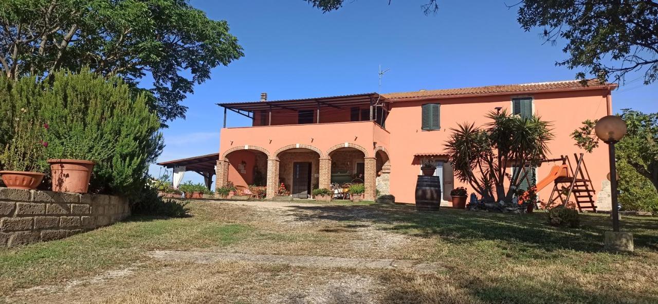 Agriturismo Marruchetone Vecchio 만시아노 외부 사진