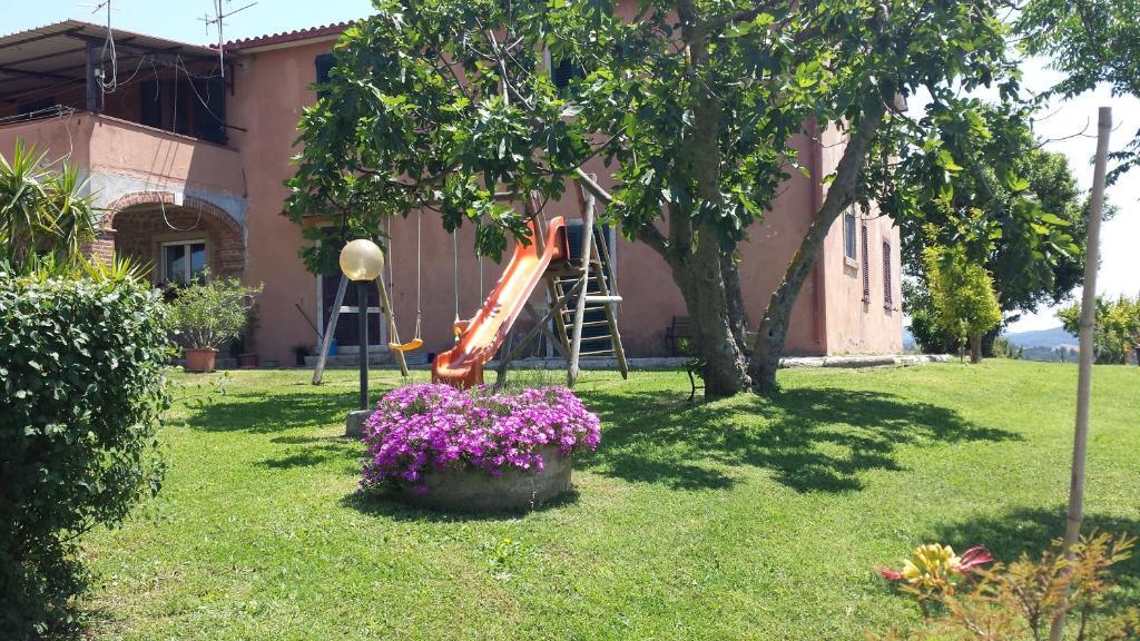 Agriturismo Marruchetone Vecchio 만시아노 외부 사진