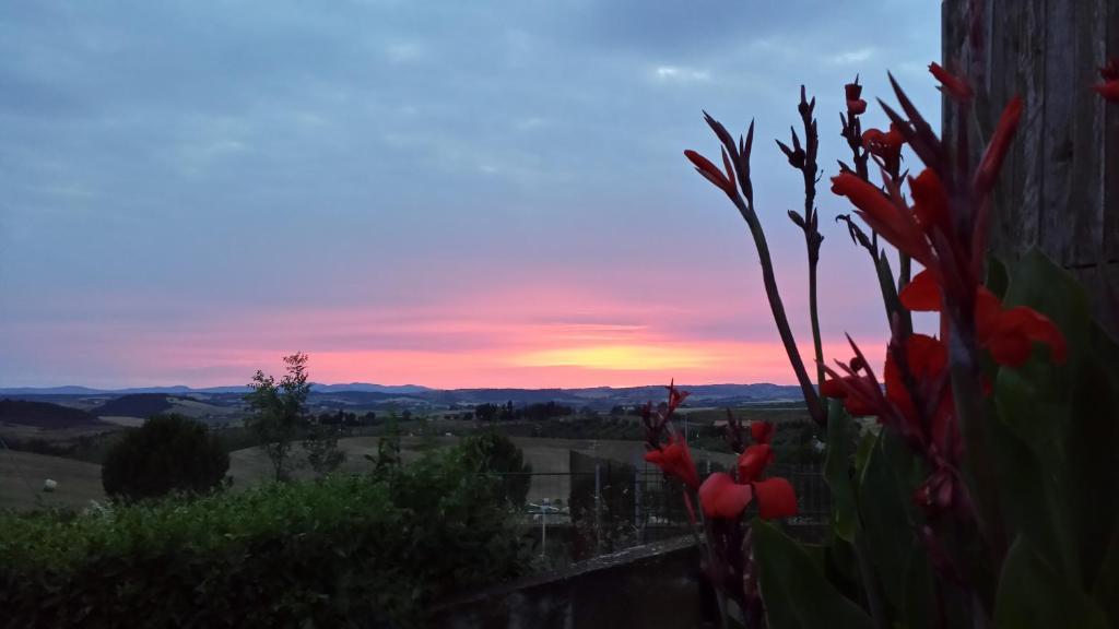 Agriturismo Marruchetone Vecchio 만시아노 외부 사진